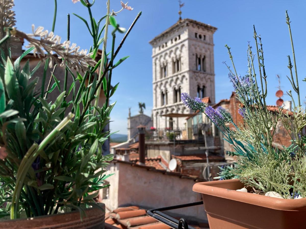 Terrazza San Michele - Affitti Brevi Italia Lejlighed Lucca Eksteriør billede
